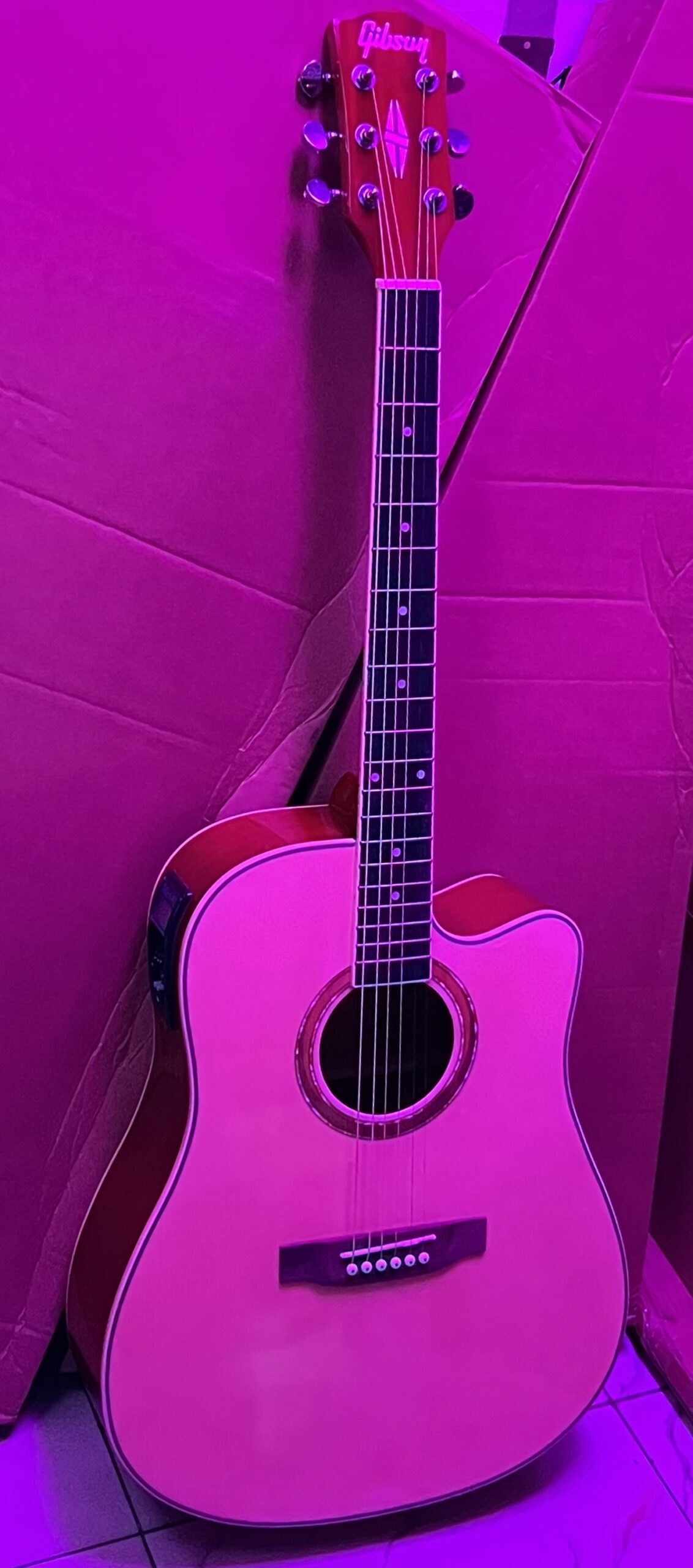 Gibson 6-String Semi-Acoustic Guitar with P90 Pickup
